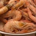 Cooksnap de Albano quando cozinhou Camarão cozido.