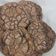 صورة من Muo، شاركها بعد تجربة وصفة كوكيز براون 🍪