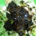 Cooksnap dari Umi Dzar untuk resep Tahu campur bumbu kacang