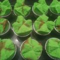 Cooksnap dari Nonke untuk resep Bolu kukus mekar