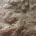 Angele Nault's cooksnap of when they made Chocolate Fudge Brownies.