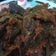 Cooksnap dari sabitaqomaria untuk resep Sambal Paru Daun Jeruk
