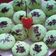 Cooksnap dari Sherin kitchen untuk resep Bolu Pandan Mini (1 telur)