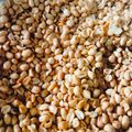 Cooksnap dari Eni Istiana untuk resep Kacang bawang empuk, renyah n enak mudah buatnya
