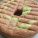 Cooksnap dari Riri Febrina untuk resep Bolu Pandan Jadul Lembut dan Lembab (nggak seret)😍