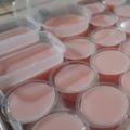 Cooksnap dari Chanty Santy untuk resep Silky puding untuk jualan