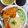 Cooksnap của Nguyễn Vũ khi họ làm theo món Cơm gà xối mỡ