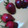 Cooksnap dari nani yusuf untuk resep Strawberry Chocholate