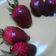 Cooksnap dari nani yusuf untuk resep Strawberry Chocholate