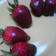 Cooksnap dari nani yusuf untuk resep Strawberry Chocholate
