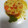 El cooksnap de JSPS cuando hizo Arroz con verduras.