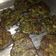 El cooksnap de Karina Arrigo cuando hizo Croquetas de acelga al horno! Increíbles!.