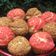 Cooksnap dari lidwina astrid untuk resep Choux craequlin/crunchy choux