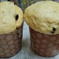 El cooksnap de Mate Amargo 🧉🍪 cuando hizo Pan dulce casero de Paulina Cocina.