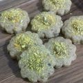 کوک اسنپ کیک 🎂 شیرینی🍩 گل نرگس 🌼 بعد از امتحان کردن شیرینی پسته ای با روغن مایع (شیرینی عید)😍.