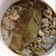 Cooksnap dari mama nia untuk resep Bubur daging sapi giling mpasi 6 bulan