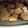 noellelynne's cooksnap of when they made Pumpkin Vanilla Cookies.