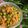 Cooksnap dari kenni saputra untuk resep Ulukutek Oncom Leunca