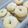El cooksnap de Caren Frias cuando hizo Rosquitos de limón🍋.