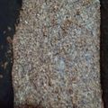 El cooksnap de claudia ortiz cuando hizo Budín de coco y lino.. sin harina.