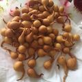 Cooksnap dari Rahmadhani untuk resep Kue Temu kunci