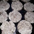 El cooksnap de Claudio Oviedo cuando hizo Milanesas vegetarianas / veganas de arroz integral y lentejas. (SIN GLUTEN Y SÚPER ECONÓMICAS!).