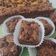 Cooksnap dari Fikna Yuniwati untuk resep Brownies tanpa BP dan SK