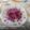 Roberta Guidetti's cooksnap of when they made Spaghetti al pesto di cavolo rosso.