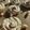 Becky's cooksnap of when they made Simple Meringue Cookies.
