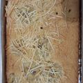 Cooksnap dari Riska Mardiana untuk resep Bolu Pisang Panggang / Banana Cake dengan Palm Sugar 💕