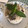 El cooksnap de maybe cuando hizo Risotto de champiñones y berenjena.