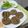El cooksnap de Pablo Ramos cuando hizo Hamburguesas de lentejas (veganas).