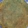 陳奕如 的 茴香煎蛋 cooksnap