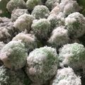 Cooksnap dari Ajeng untuk resep Kue Kelepon Ketan Gula Merah Viral