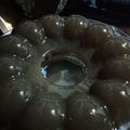 Cooksnap dari Fitri Pittros untuk resep Nutrijel, agar, kopi luwak