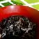 Cooksnap dari kitchenCode (Meimei) untuk resep Cumi Hitam Masak Manado
