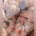 Cooksnap dari Nani Indriani untuk resep Bandeng Bumbu Bali