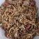 Cooksnap dari nuket untuk resep Mie Goreng Anak