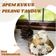 Cooksnap dari Ajeng Febrina untuk resep Kue Apem Gula Aren Pisang #kamismanis