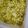 Anousha Qureshi's cooksnap of when they made Matar pulao.