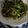 Cooksnap dari Anpanman untuk resep Kangkung udang rebon