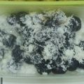 Cooksnap dari Anas Angger Andaru untuk resep KLEPON UBI Ungu dengan biang