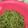 Cooksnap dari Ninda Erwin untuk resep Mi Bit Kuah Ayam (Noodle Maker)