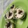 Cooksnap dari Daniela Sara untuk resep Oreo cheesecake