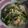 Cooksnap dari Lystia Permana Putri untuk resep Bihun Rebus Jawa ala Jogja