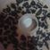 Cooksnap dari Fawwaz Alfath untuk resep Puding Susu Oreo