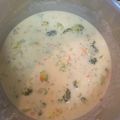 indy1's cooksnap of when they made Broccoli soup.
