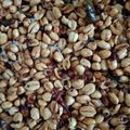 Cooksnap dari Siti Hikmatun untuk resep Kacang Pedas #ketopad