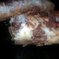 **Sweetz**'s cooksnap of when they made Magick bars.