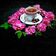 کوک اسنپ M.Arya بعد از امتحان کردن چای با عطر گل محمدی☕🌸.